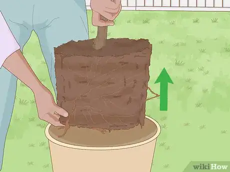 Image titled Plant a Shrub Step 18