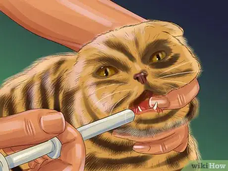 Image titled Treat Feline Stomatitis Step 2