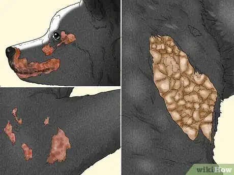 Image titled Treat Zinc Deficiency in Dogs Step 3