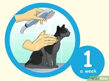 Image titled Deal With Being Allergic to Cats Step 5