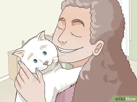 Image titled Encourage Group Scent in Multi‐Cat Households Step 3