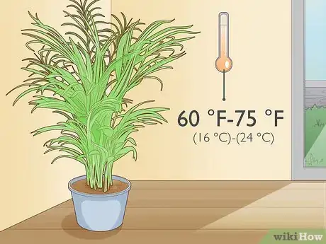 Image titled Make an Areca Palm Grow Faster Step 8