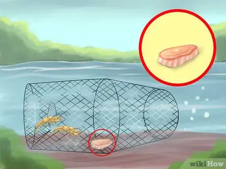 Image titled Catch a Crayfish Step 4