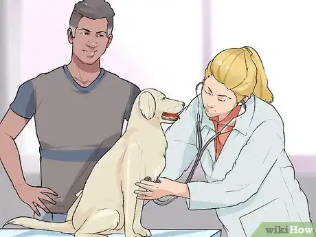 Image titled Diagnose Cognitive Dysfunction in Senior Dogs Step 8