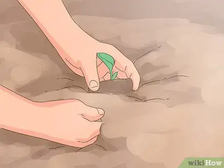 Image titled Prune Petunias Step 9