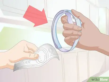 Image titled Get a Puppy Used to a Leash Step 1