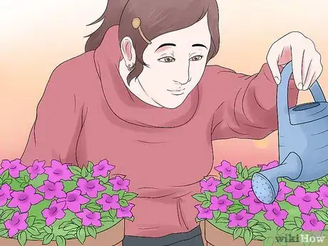 Image titled Grow Petunias Step 15