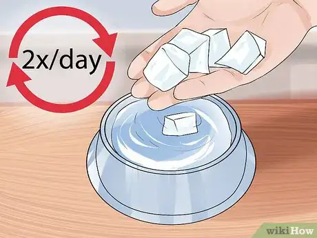 Image titled Get a Dog to Stop Drinking from the Toilet Step 8