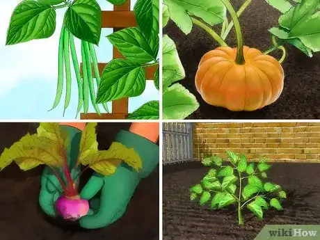 Image titled Create a Vegetable Garden Step 1