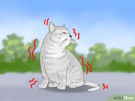 Image titled Diagnose and Treat Frostbite in Cats Step 1