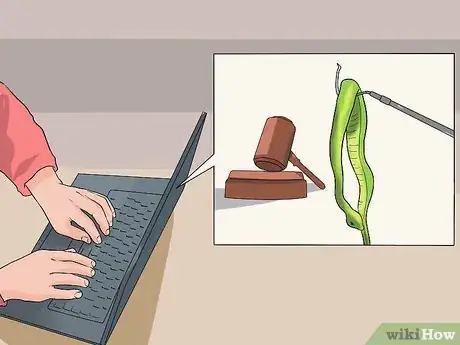Image titled Look After a Venomous Snake Step 1