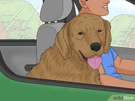 Image titled Choose a Dog‐Friendly Vacation Destination Step 4