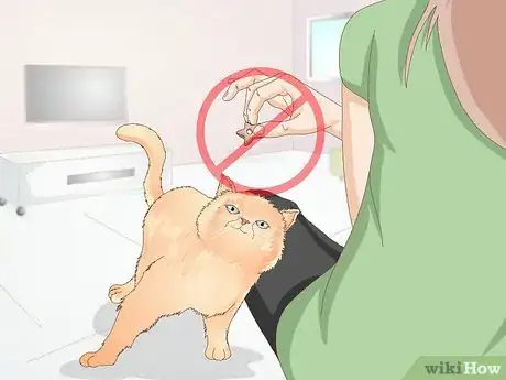 Image titled Stop a Cat from Licking Stuffed Animals and Blankets Step 2