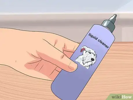 Image titled Clean a Terrier's Ears Step 2
