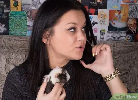 Image titled Find a Vet for Your Guinea Pig Step 8