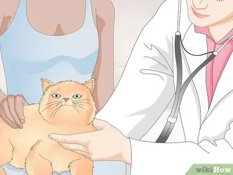 Image titled Buy Healthy Cat Food Step 3