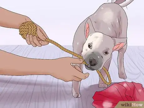 Image titled Fill a Dog's Stocking for Christmas Step 13