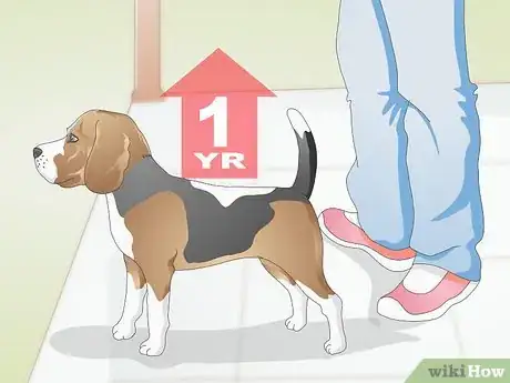 Image titled Transition from Puppy to Adult Dog Food Step 1