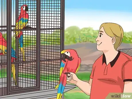 Image titled Treat Macaw Wasting Disease Step 6