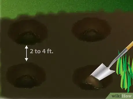 Image titled Grow Foxglove Step 5