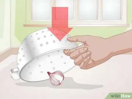 Image titled Use an Onion to Deodorize a Cat Litter Box Step 8