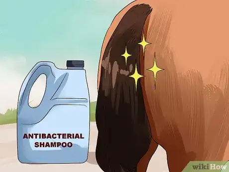 Image titled Apply a Horse Tail Bandage Step 12