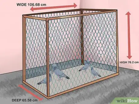 Image titled Tame Pigeons to Be out of Cage Permanently Step 9