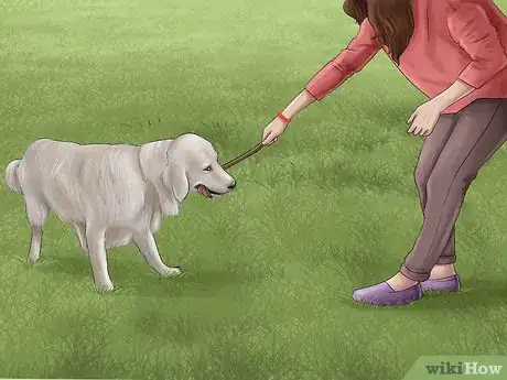 Image titled Know if You Are Ready for a Dog Step 40