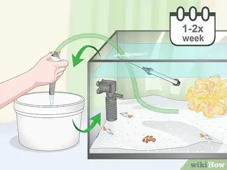 Image titled Reduce Saltwater Reef Aquarium Maintenance Step 12