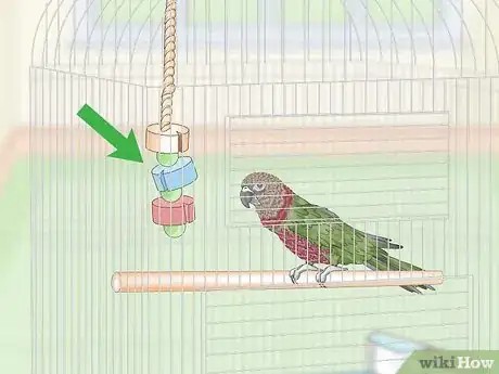 Image titled House a Hawk‐Headed Parrot Step 5