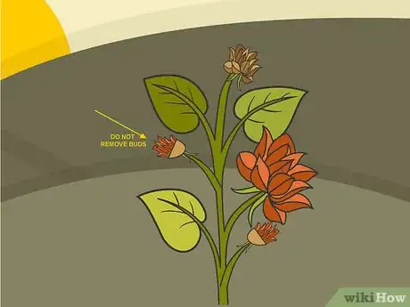 Image titled Prune Dahlias Step 05