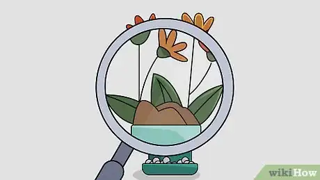 Image titled Grow Houseplants Step 35