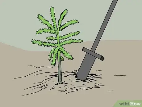 Image titled Plant Trees for a Reforestation Project Step 9