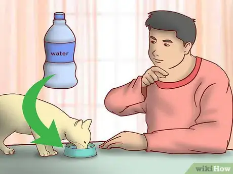 Image titled Get an Overweight Senior Cat to Lose Weight Step 11