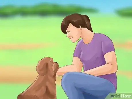 Image titled Take Care of a Shih Tzu Step 5