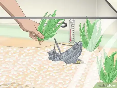 Image titled Build a Freshwater Predator Fish Aquarium Step 6
