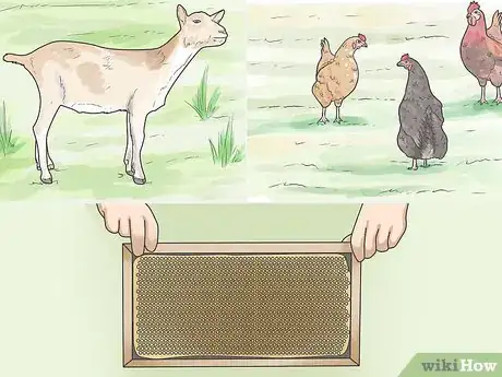 Image titled Live Off the Land Step 12