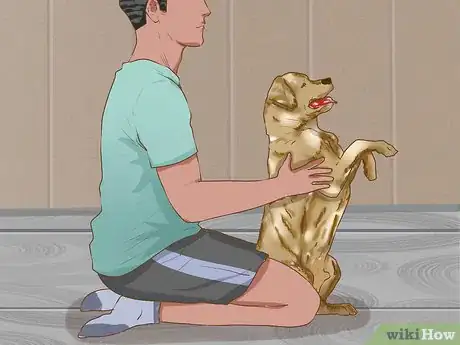 Image titled Do Yoga with Your Dog Step 4