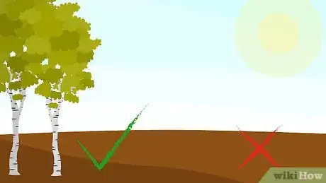 Image titled Grow Monkey Grass from Seed Step 7