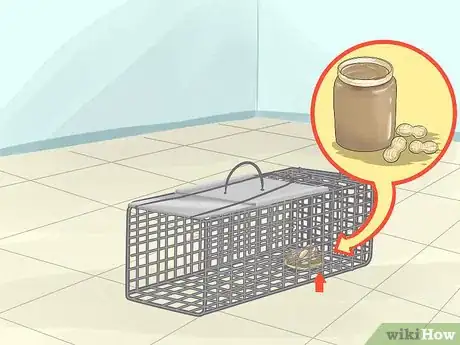 Image titled Catch a Chipmunk Step 3