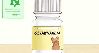 Keep Pets Safe During a Tornado