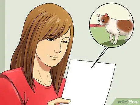 Image titled Prepare for Kittens Step 4