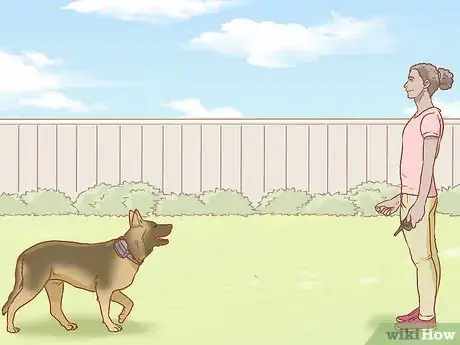 Image titled Use a Pager Collar Step 12