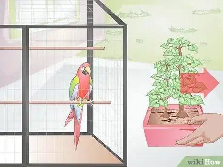 Image titled Avoid Poisoning Your Pet Bird Step 2