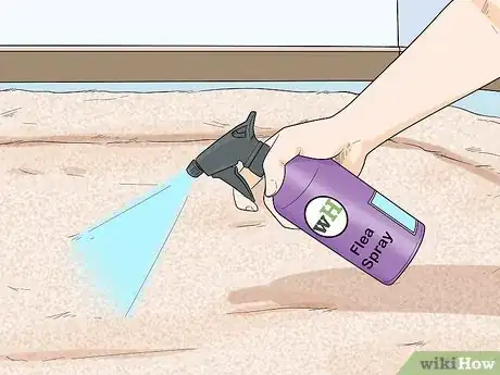 Image titled Deal with Persistent Feline Flea Problems Step 5