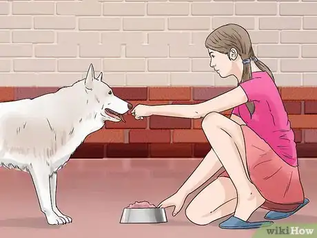 Image titled Help a Reactive Dog Relax Around Food Step 6