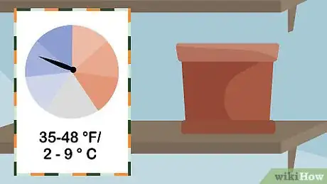 Image titled Grow Daffodils Indoors Step 2