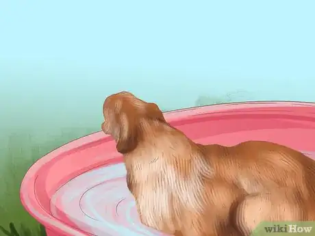 Image titled Groom a Thick Furred Dog Step 2