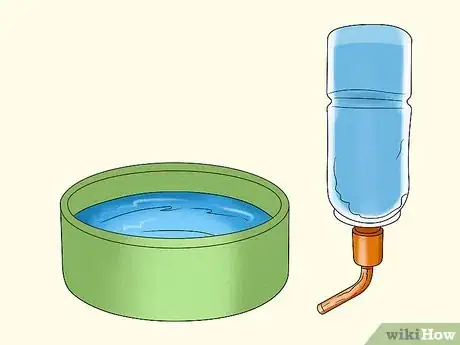 Image titled Keep Your Guinea Pigs Healthy Step 5