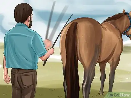 Image titled Round Pen a Horse Step 3